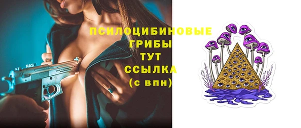 шишки Балабаново