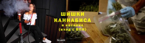 шишки Балабаново