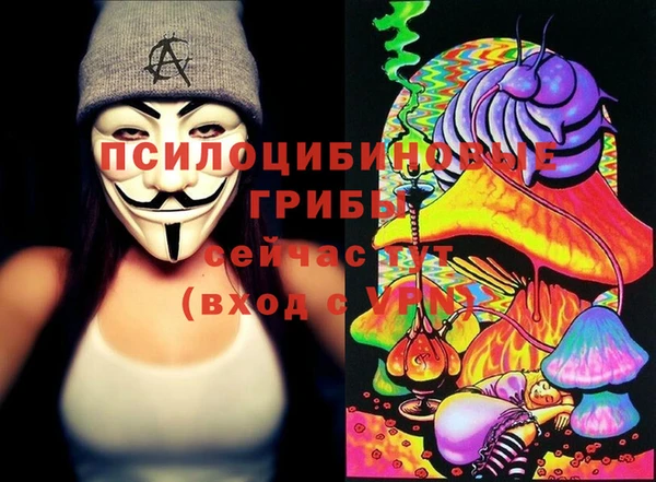 шишки Балабаново