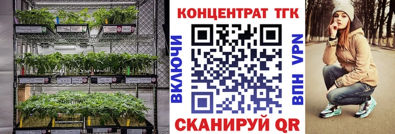 Купить закладки  Балахна  ТГК THC oil 