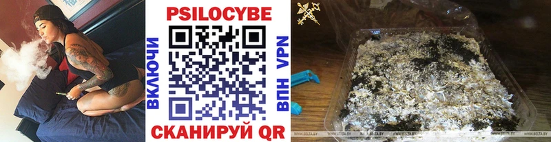 Купить  Балахна  Галлюциногенные грибы MAGIC MUSHROOMS 